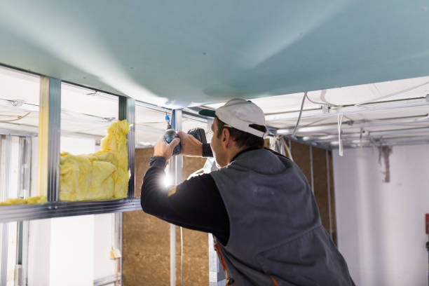 Best Specialized Insulation Services in Ligh, NE