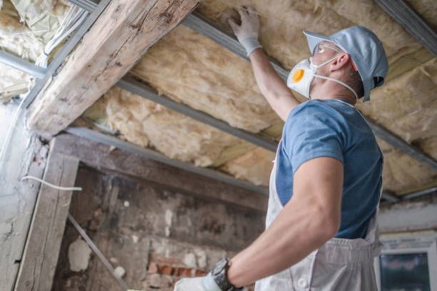 Reliable Neligh, NE Insulation Contractor Solutions