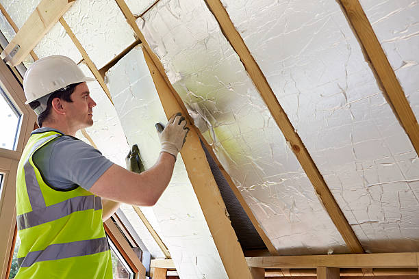 Best Cellulose Insulation in Ligh, NE